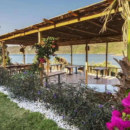 Unique Boutique For Chill/out Getaway Hotel